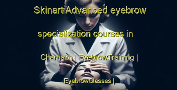 Skinart Advanced eyebrow specialization courses in Chamakh | EyebrowTraining | EyebrowClasses | SkinartTraining-Pakistan
